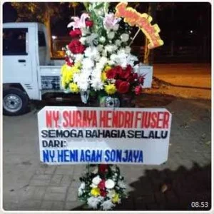 SF 013 Standing