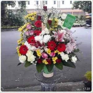 BM 017 Mawar