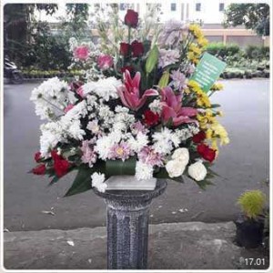 BM 023 Mawar