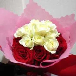 HB 006 Bulat