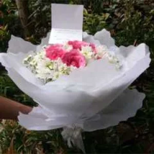 HB 010 Bulat