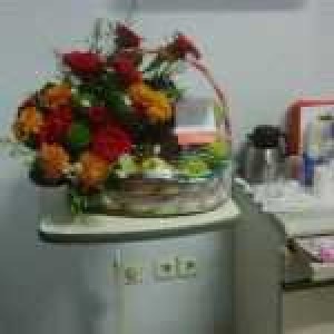 PCL 005 Buah
