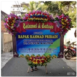 CDE - BP 100 - Bunga Papan