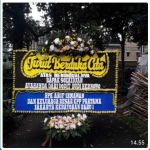 CDE - BP 038 - Bunga Papan