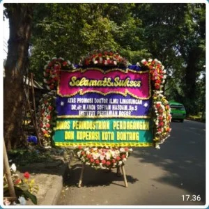 BPB - Bunga Papan 076