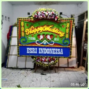 BPB - Bunga Papan 055