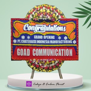 CONGRATS 011