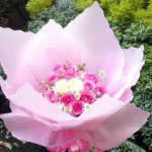 CDE - HB 008 - Hand Bouquet