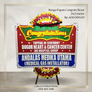 Bunga Papan Congratulations 2x1.5m Model BP-1781585111773