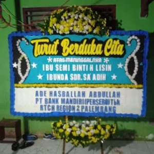 Bunga Papan Bogor 44