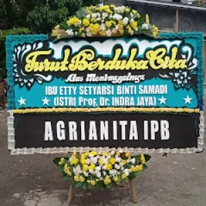 Bunga Papan Bogor 47