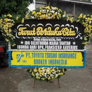 Bunga Papan Bogor 49