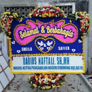 Bunga Papan Bogor 51