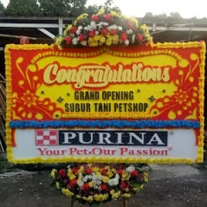 Bunga Papan Bogor 39