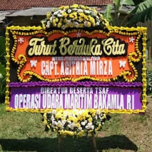 Bunga Papan Bogor 41