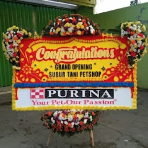 Bunga Papan Bogor 43