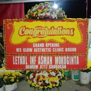 Bunga Papan Bogor 91