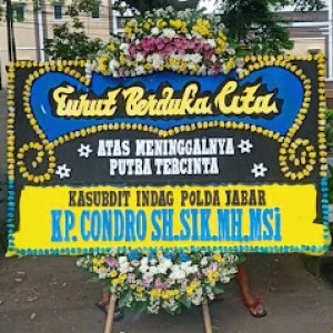 Bunga Papan Bogor 106