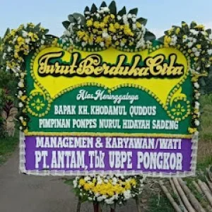 Bunga Papan Bogor 116