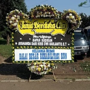 Bunga Papan Bogor 126