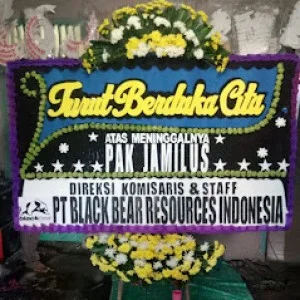 Bunga Papan Bogor 112