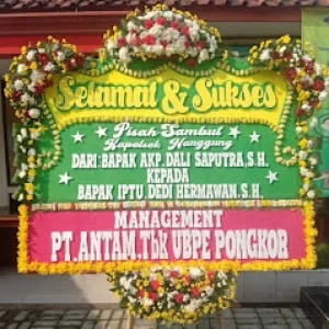 Bunga Papan Bogor 118