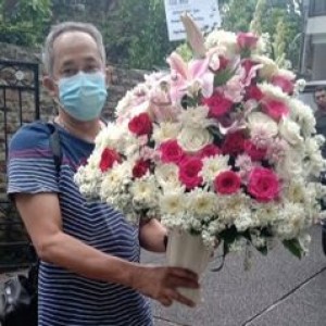 Bunga Meja Bogor 24