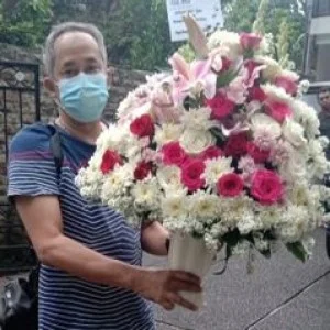 Bunga Meja Bogor 24