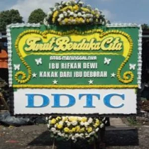 Bunga Papan Bogor 98