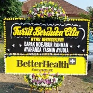 Bunga Papan Bogor 101