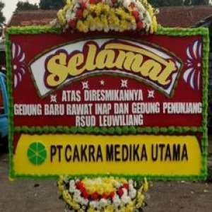 Bunga Papan Bogor 30