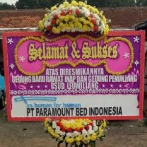 Bunga Papan Bogor 34
