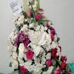 Bunga Meja Bogor 21