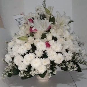 Bunga Meja Bogor 05