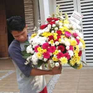 Bunga Meja Bogor 10