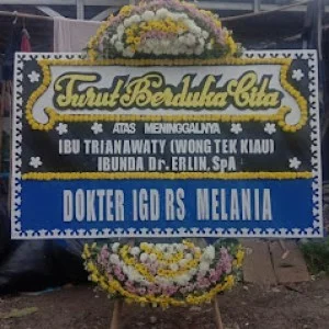 Bunga Papan Bogor 26