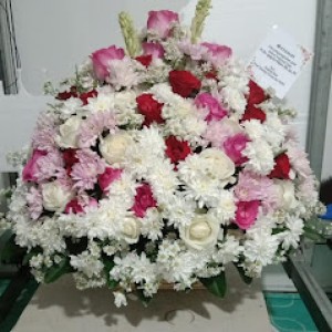 Bunga Meja Bogor 11