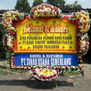 Bunga Papan Bogor 09