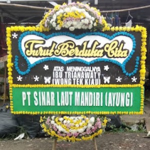 Bunga Papan Bogor 25