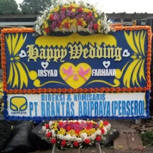 Bunga Papan Bogor 21