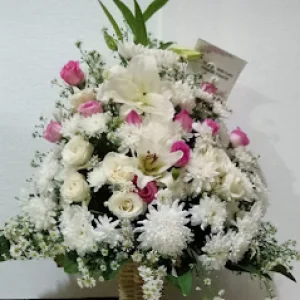 Bunga Meja Bogor 01