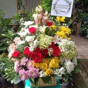 Bunga Meja Bogor 18