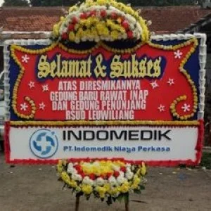 Bunga Papan Bogor 35