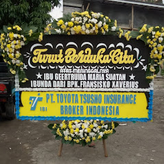 Bunga Papan Bogor 49
