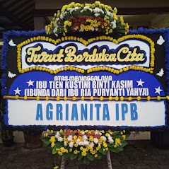 Bunga Papan Bogor 60