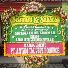 Bunga Papan Bogor 118