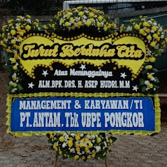 Bunga Papan Bogor 119