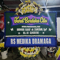 Bunga Papan Bogor 105