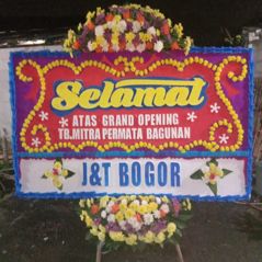 Bunga Papan Bogor 97