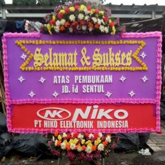 Bunga Papan Bogor 100